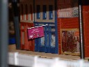 Alex's Pet Store